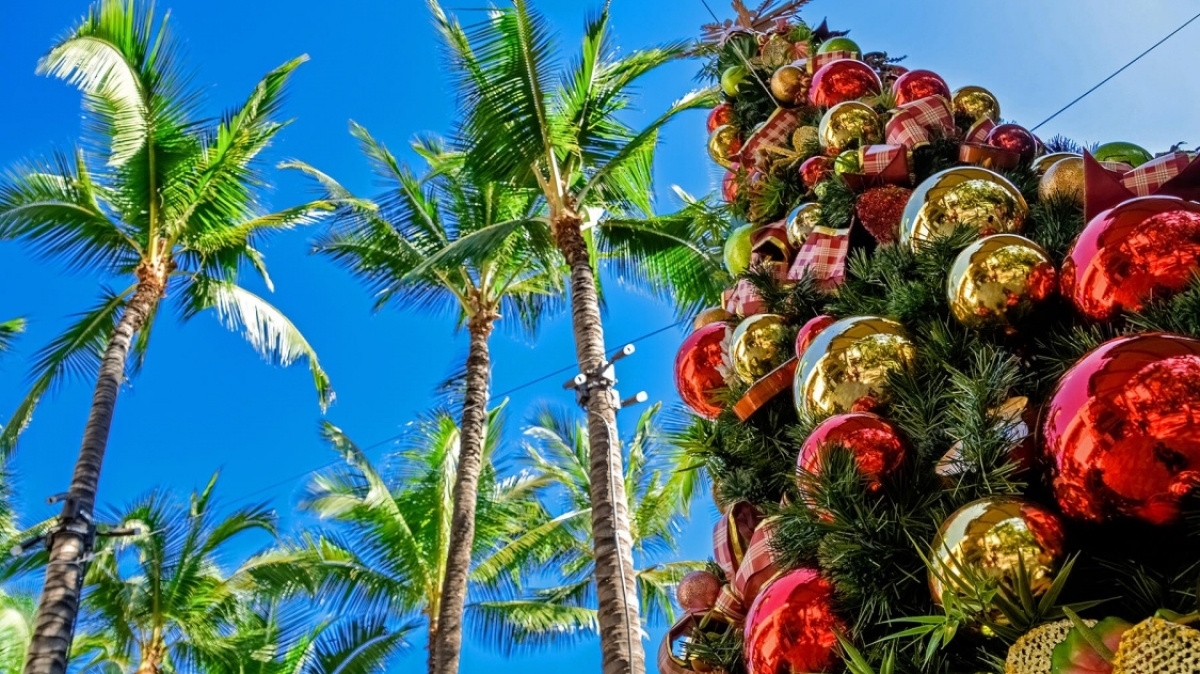 Фото: Jeremy Bezanger, unsplash.com