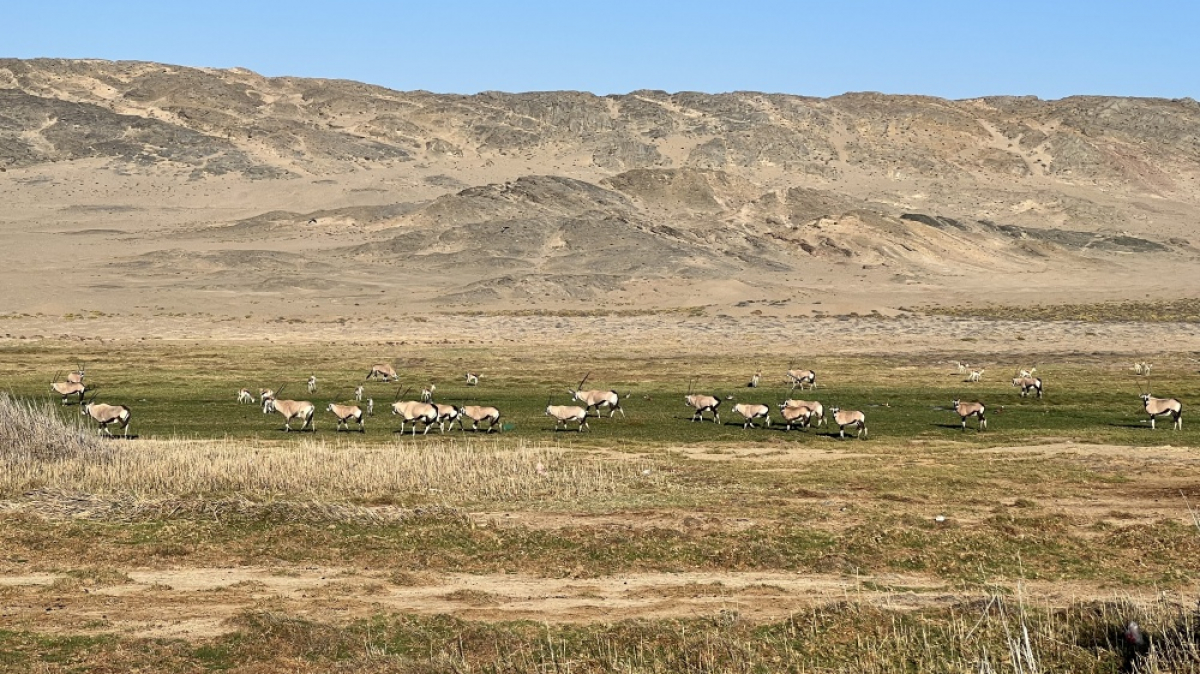 Фото: наш гид Алексей Шорец