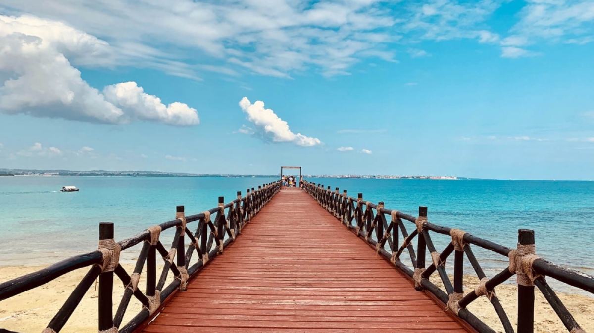 Фото: Gulen Erol, unsplash.com