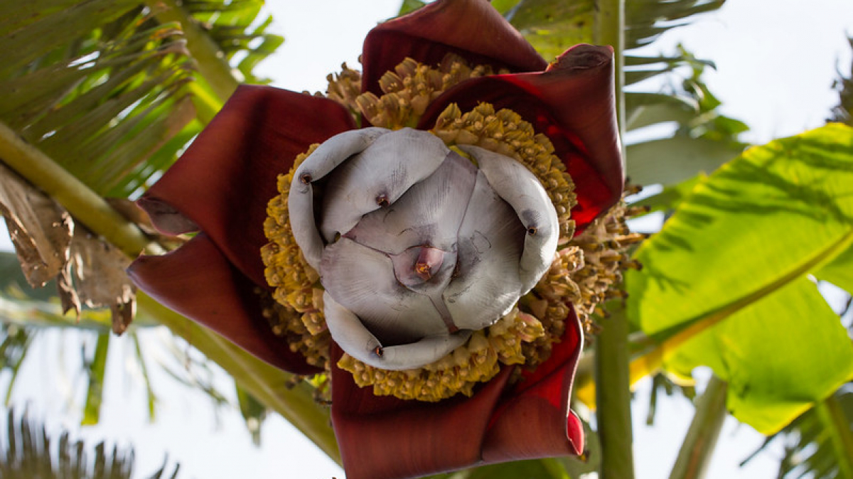 Фото: JonnyScholes, visualhunt.com