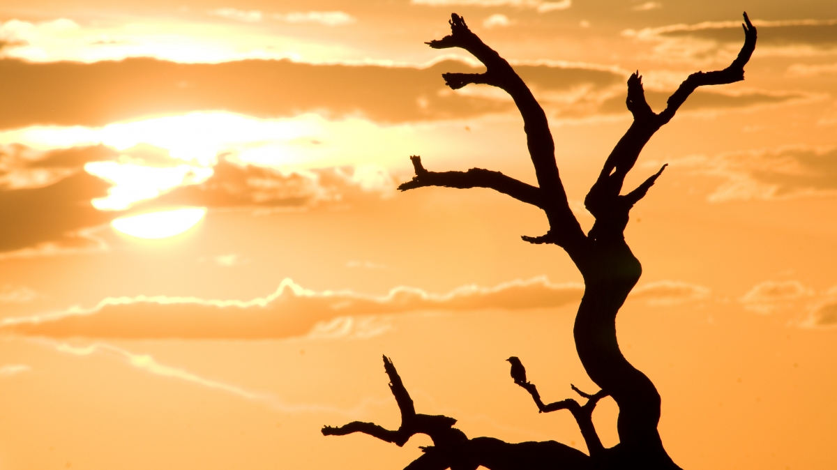 Автор: Mister-E, источник: visualhunt