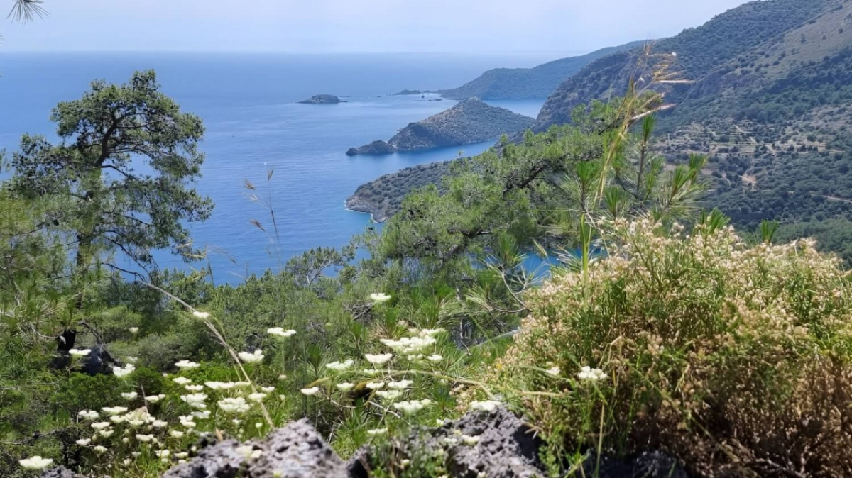 Фото нашей Странницы Елены Рудневой