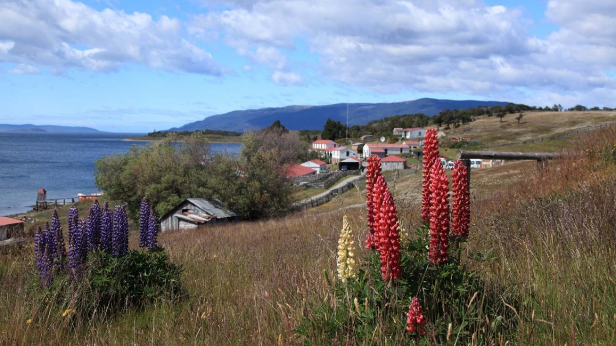 Источник: visualhunt.com