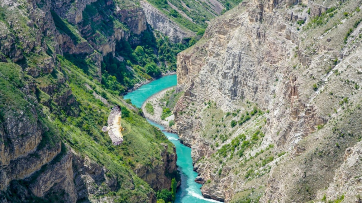 Фото нашей Странницы Ирины Магарам
