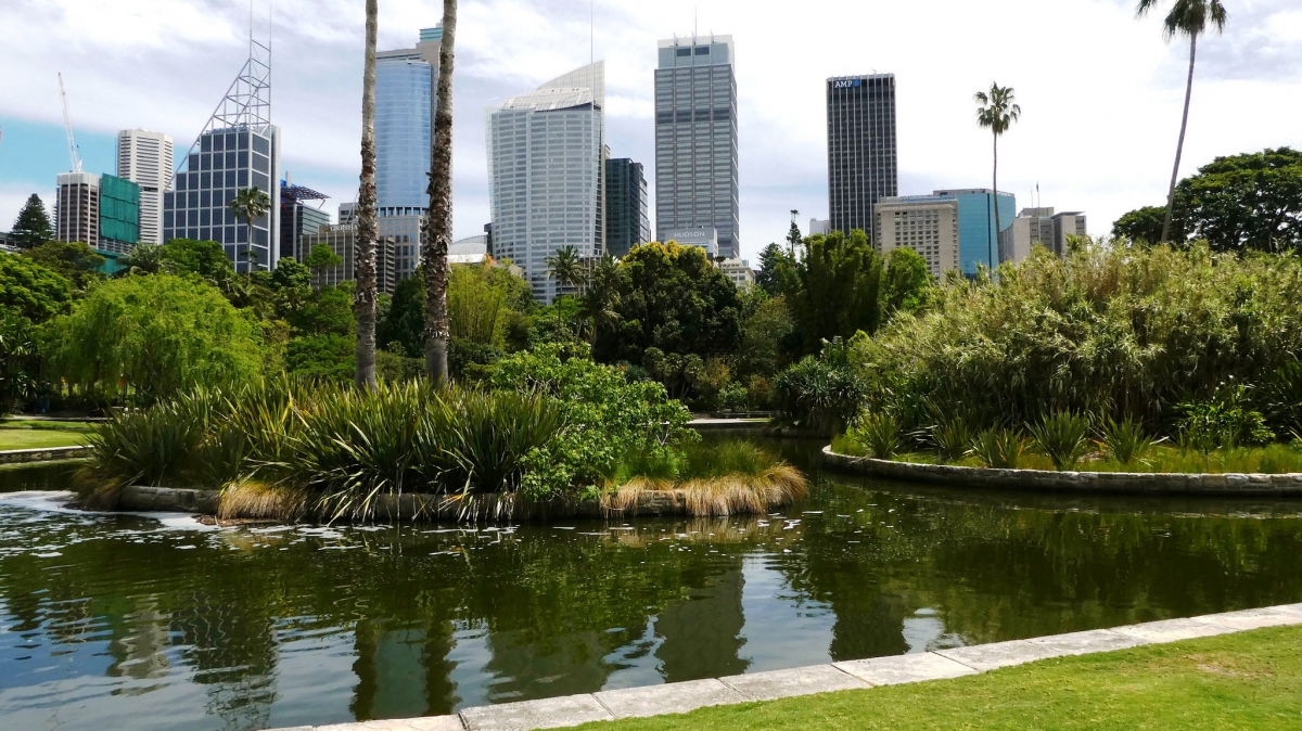 Фото: harryandrowenaphotos. Источник: visualhunt.com