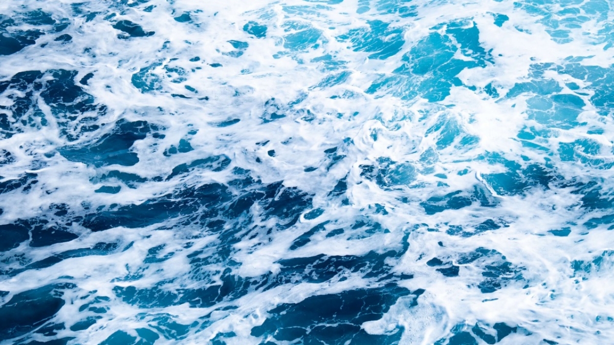 Фото: James Eades, unsplash.com