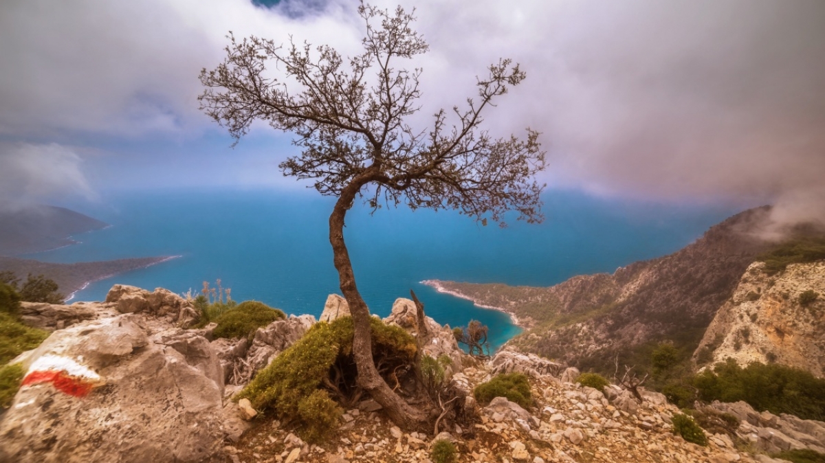 Фото: juergens_skaa, visualhunt.com