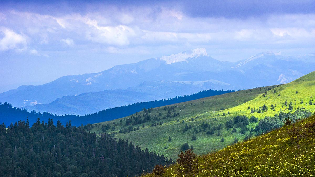 Фото: depositphotos.com