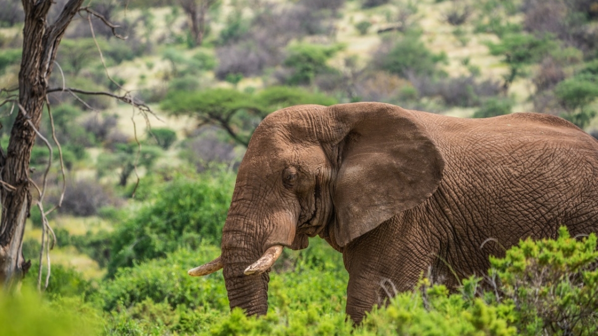 Фото: Photos By Beks, unsplash.com