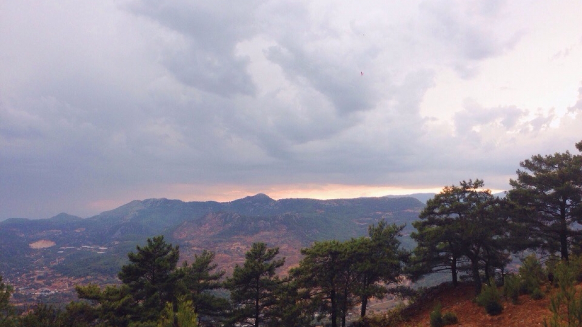 Фото Татьяны Швыряевой