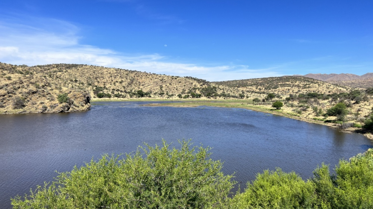 Фото: наш гид Алексей Шорец