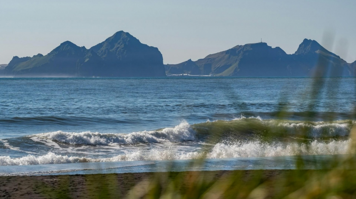 Фото: Arjan Wilmsen on Unsplash