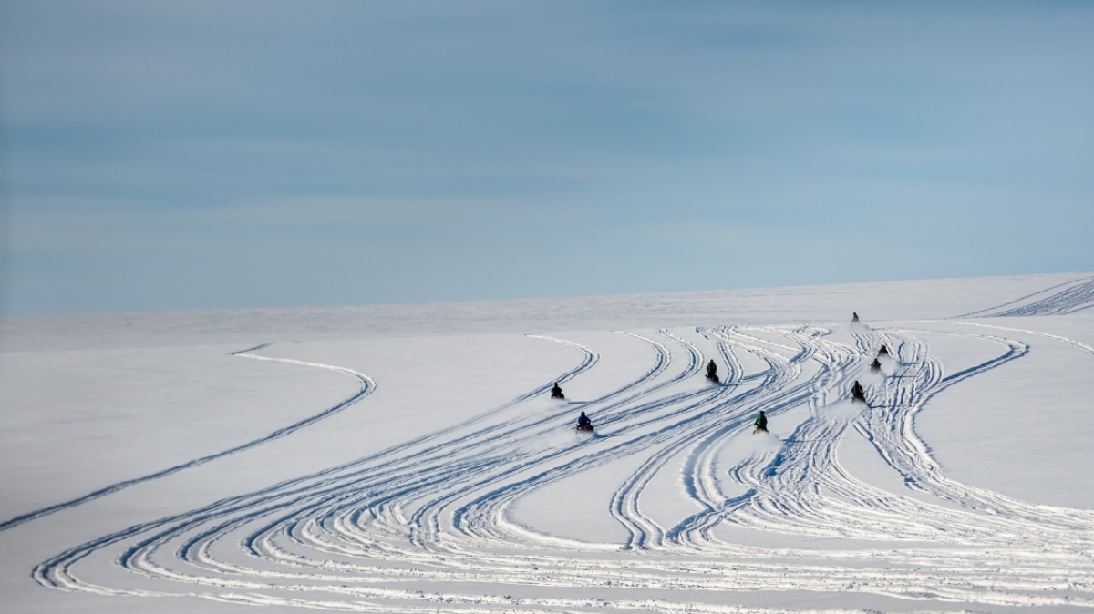 Фото: Сергей Доля