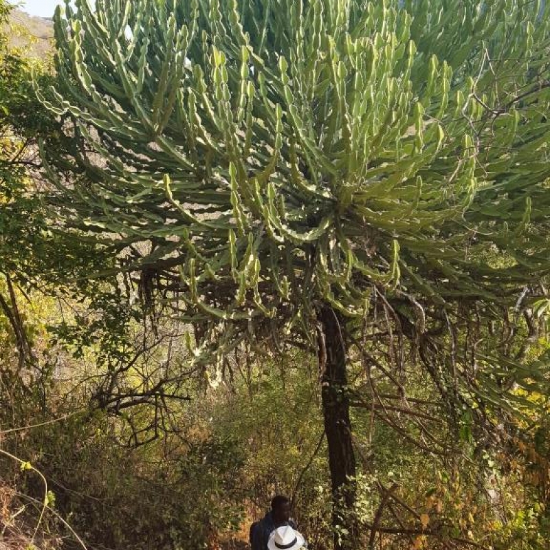 Фотографии из путешествия. Движемся к вершине вместе с воинами Самбуру