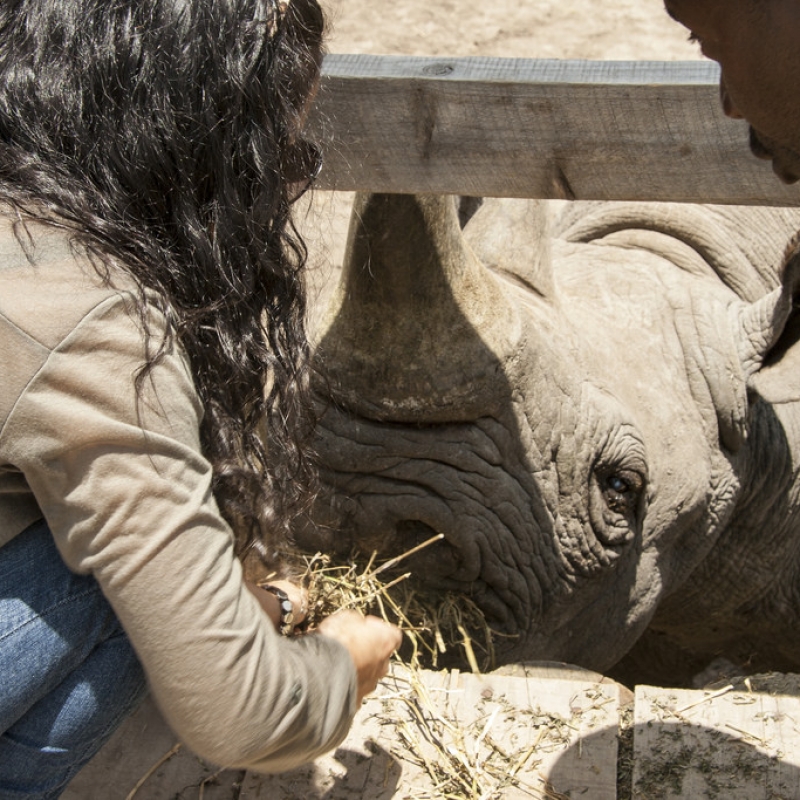 Фотографии из путешествия. Сафари