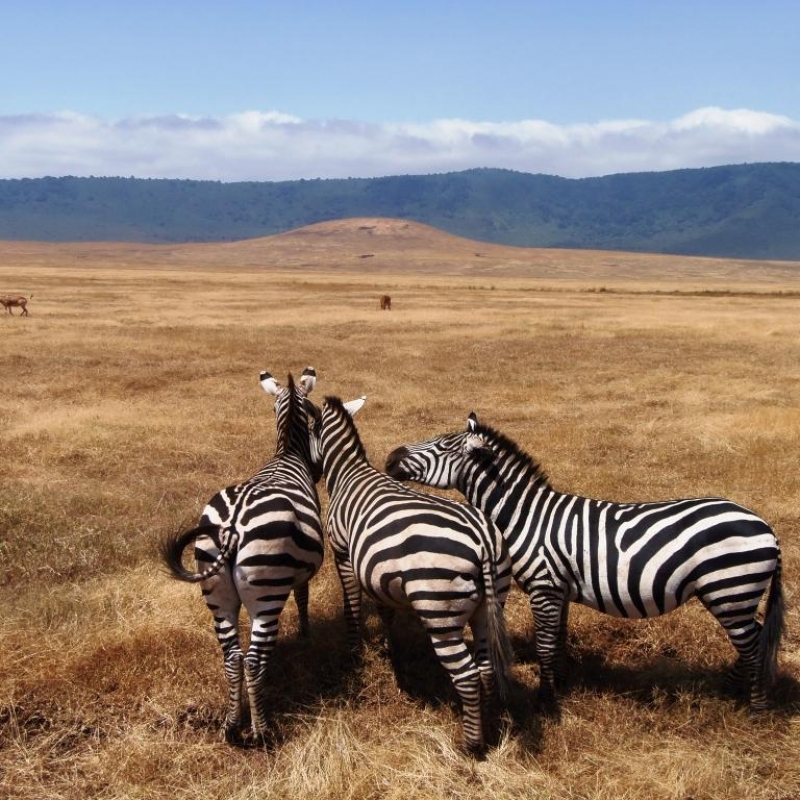 Фотографии из личного архива нашего гида, Марины Билаловой