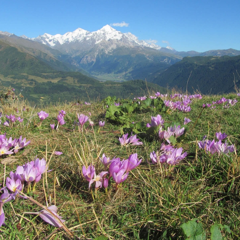 Фото из нашего путешествия