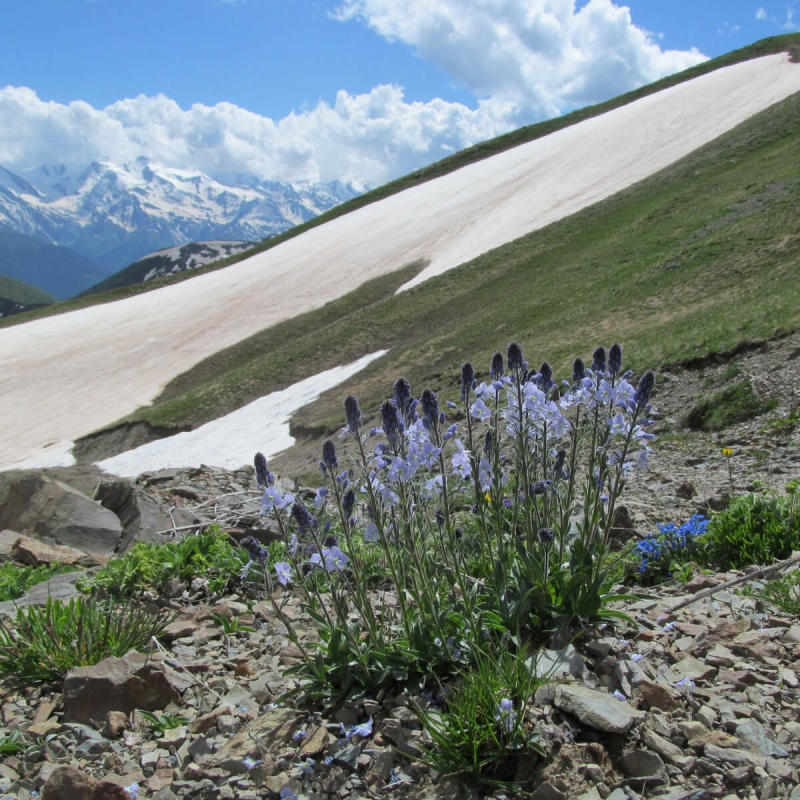 Фото из нашего путешествия