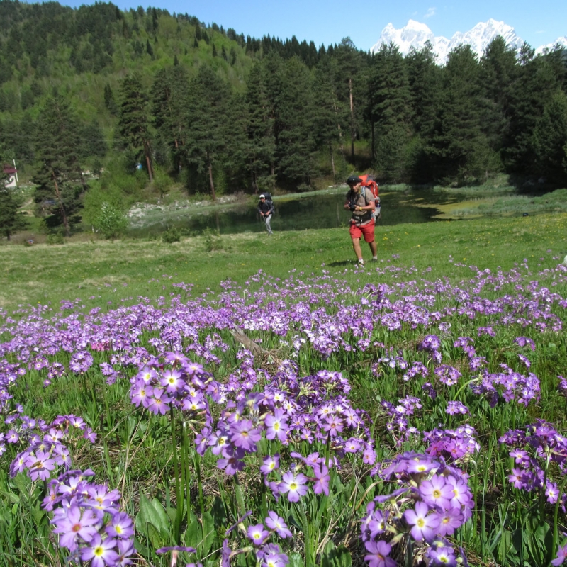 Фото из нашего путешествия