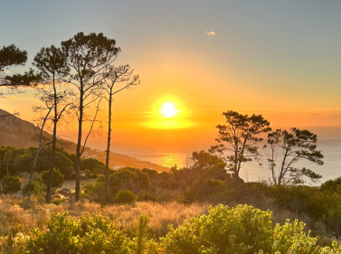 Кейптаун: знакомство с Южной Африкой