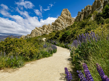 Вся Новая Зеландия за 13 дней